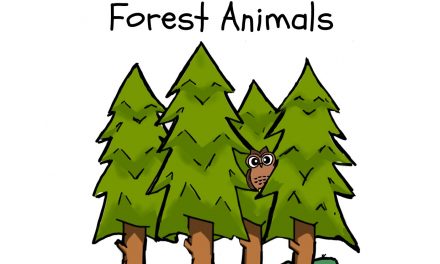 BOOK AWARD WINNER: FOREST ANIMALS