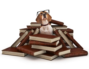 Overwhelmed by Book Marketing? How to Boost Your Productivity and Results without the Stress